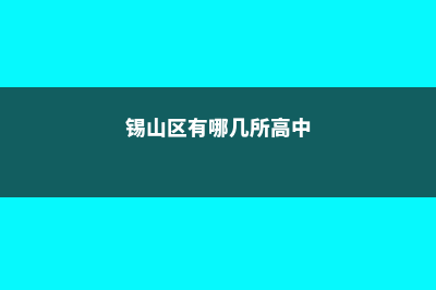 锡山区有哪些英国留学好选择(锡山区有哪几所高中)