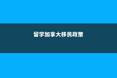 意大利博科尼大学学校生活怎么样(意大利博科尼大学排名)