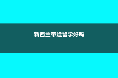 新西兰带娃留学(新西兰带娃留学好吗)