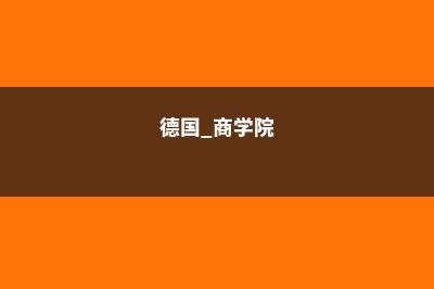 德国BITS商学院特色详情介绍(德国 商学院)