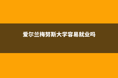 爱尔兰梅努斯国立大学(爱尔兰梅努斯大学容易就业吗)