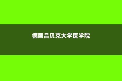 德国吕贝克大学学术交流及研究介绍(德国吕贝克大学医学院)