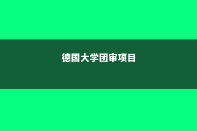 德国团审项目(德国大学团审项目)