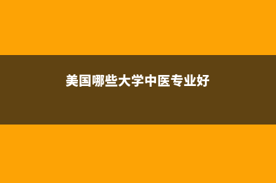 美国哪些大学中国留学生最多(美国哪些大学中医专业好)