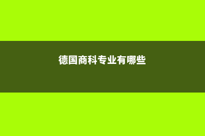 德国留学商科专业分享(德国商科专业有哪些)