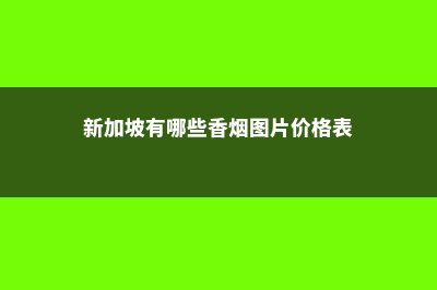 新加坡真香大盘点助学金&奖学金(新加坡有哪些香烟图片价格表)