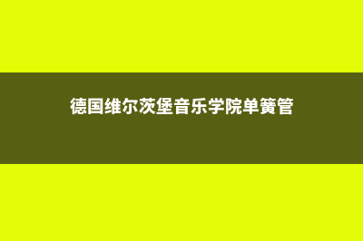 德国维尔茨堡音乐学院招生目标介绍(德国维尔茨堡音乐学院单簧管)