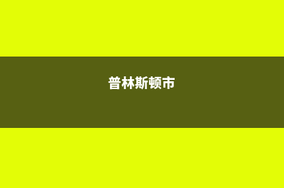 美国普林斯顿世界大学排名(普林斯顿市)