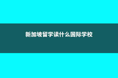 新加坡留学读什么专业(新加坡留学读什么国际学校)