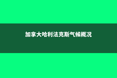 瑞士IHTTI如何申请