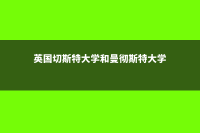 英国切斯特大学介绍(英国切斯特大学和曼彻斯特大学)