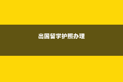 出国留学 护照(出国留学护照办理)
