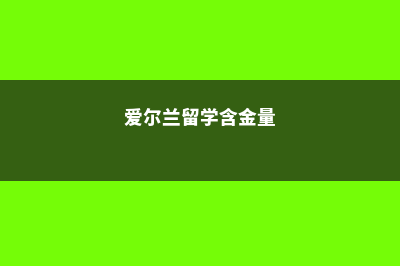 爱尔兰留学优秀硕士专业如何申请？(爱尔兰留学含金量)