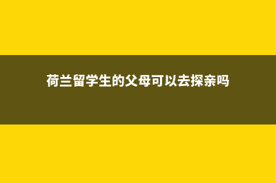 荷兰之留学生的生活是怎样的呢！(荷兰留学生的父母可以去探亲吗)