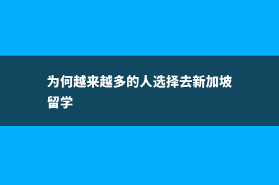 为何越来越多的人选择去新加坡留学