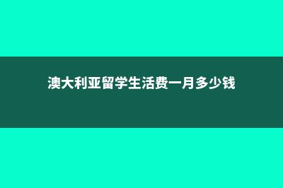 美国留学套磁存在哪些问题(美国留学可带多少现金)