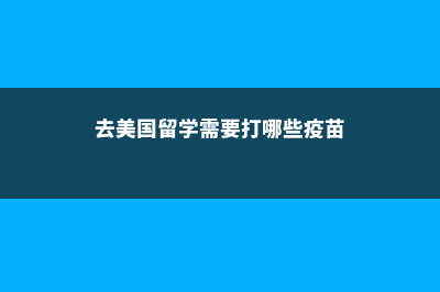 去泰国留学有哪些必备的手机APP(去泰国留学哪个翻译软件好用)