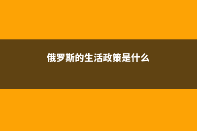 俄罗斯的生活政府提供社会保障(俄罗斯的生活政策是什么)