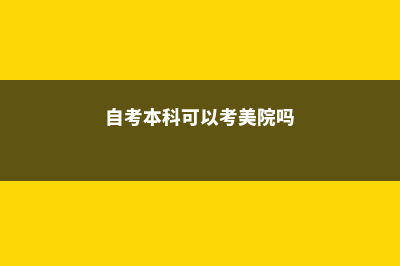 自考本科能报美国研究生吗?(自考本科可以考美院吗)