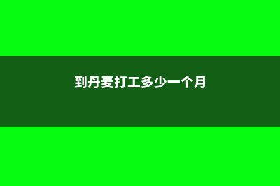 丹麦打工政策(到丹麦打工多少一个月)