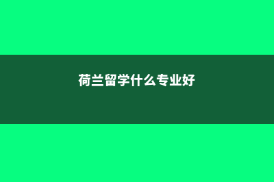 荷兰留学有什么优势(荷兰留学什么专业好)