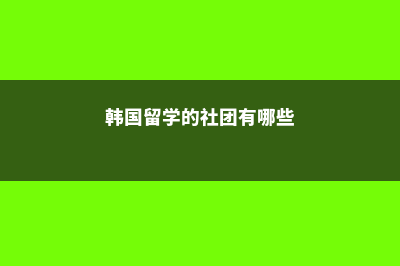 韩国留学的社团文化有哪些不同(韩国留学的社团有哪些)