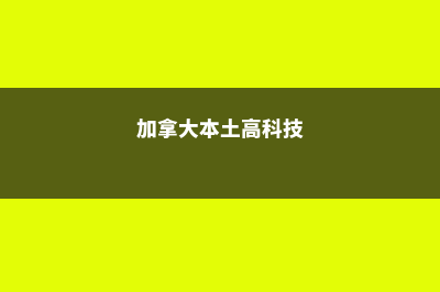 加拿大突出的科技行业是什么现状呢(加拿大本土高科技)