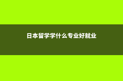 日本留学是学什么(日本留学学什么专业好就业)