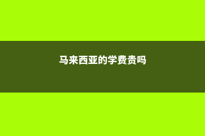 韩国语学院对比国内语培课程(韩国语学院是干什么的)