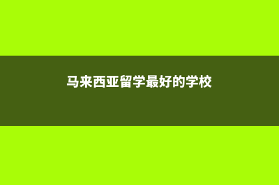 澳洲留学IT专业的专业方向有哪些(澳洲it就业)