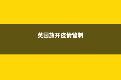 日本电子电气领域解析(日本电子电器公司)