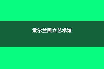 爱尔兰国立艺术设计学院(爱尔兰国立艺术馆)