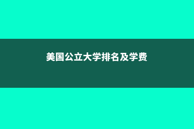 高中生留学美国大学(高中生留学美国费用)