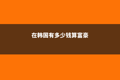 在韩国有多少钱算得上“富人”(在韩国有多少钱算富豪)