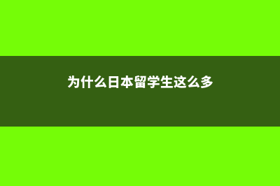 日本留学为何要选择先去语言学校(为什么日本留学生这么多)