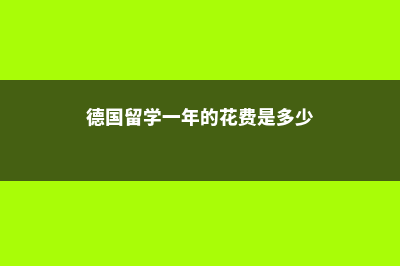 德国留学一年的费用(德国留学一年的花费是多少)