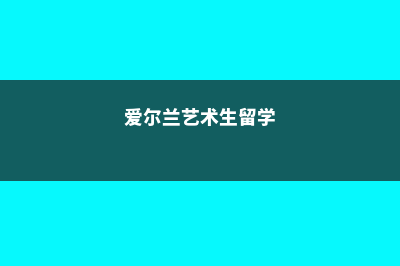 爱尔兰艺术留学专业费用(爱尔兰艺术生留学)