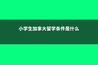 小学生加拿大留学一年费用(小学生加拿大留学条件是什么)