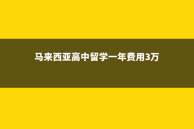 马来西亚高中留学真实费用(马来西亚高中留学一年费用3万)