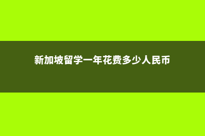 新加坡留学一年费用多少(新加坡留学一年花费多少人民币)