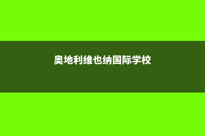 奥地利留学维也纳音乐学院专业设置(奥地利维也纳国际学校)