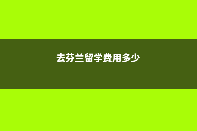 美术留学美国费用预算(美国美术生留学费用)