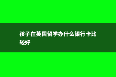 孩子在英国留学费用多少(孩子在英国留学办什么银行卡比较好)