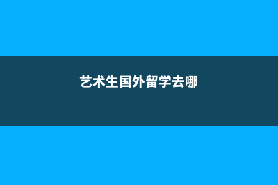 艺术生国外留学新加坡(艺术生国外留学去哪)