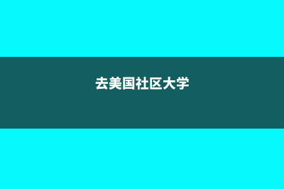 美国留学签证有哪些材料(美国留学签证有加急办理吗)