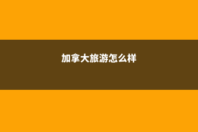 美国藤校本科留学费用(美国藤校回国后找工作)