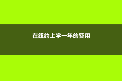 纽约小学留学费用(在纽约上学一年的费用)