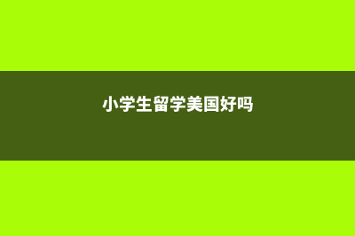 小学生留学美国的费用(小学生留学美国好吗)
