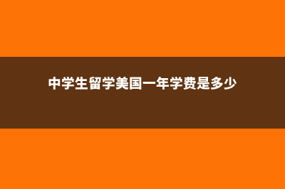 初中赴美留学费用(中学生留学美国一年学费是多少)