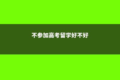 不参加高考留学美国费用(不参加高考留学好不好)